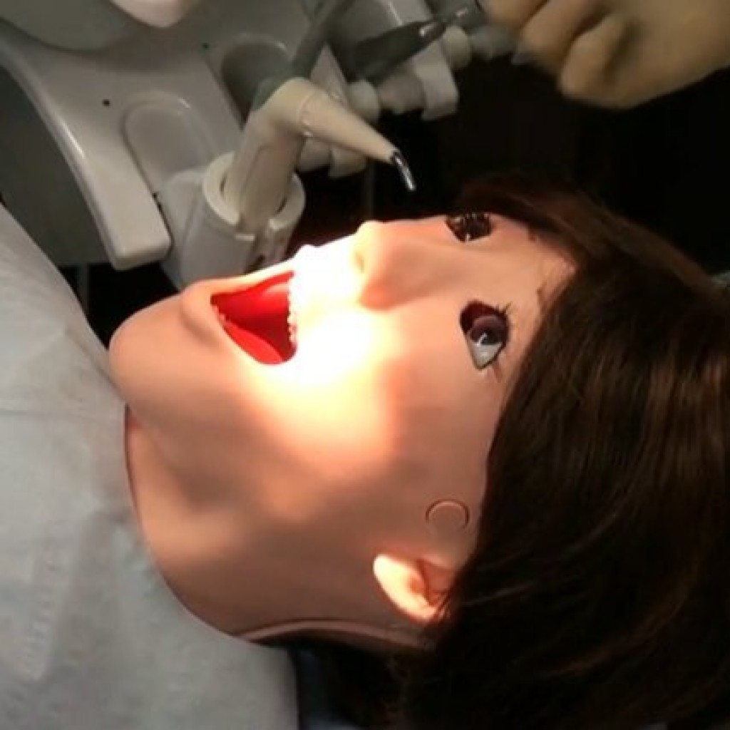 1967765 2711353 1024x1024 - Un robot acude al dentista